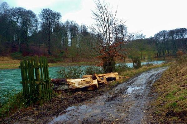 Sawn up ready to go.jpg